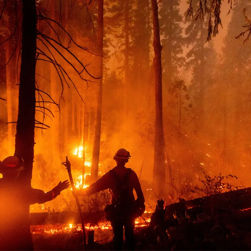 Firefighters battle the Creek Fire in the Shaver Lake community of Fresno County, California, on Sept. 7.